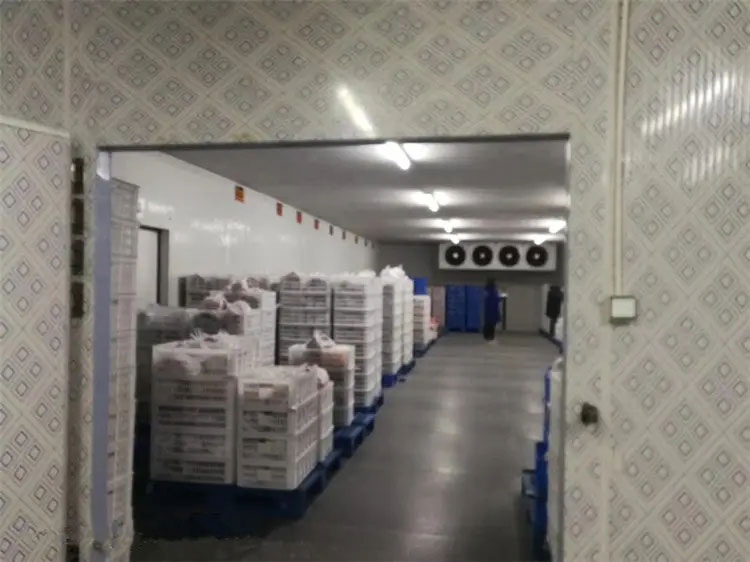 图为和记官网工程建造的冷库